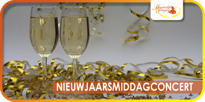 Nieuwjaarsmiddagconcert