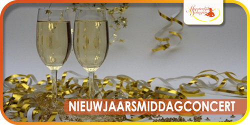 Nieuwjaarsmiddagconcert